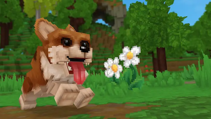 Switch Type / Version Anytime